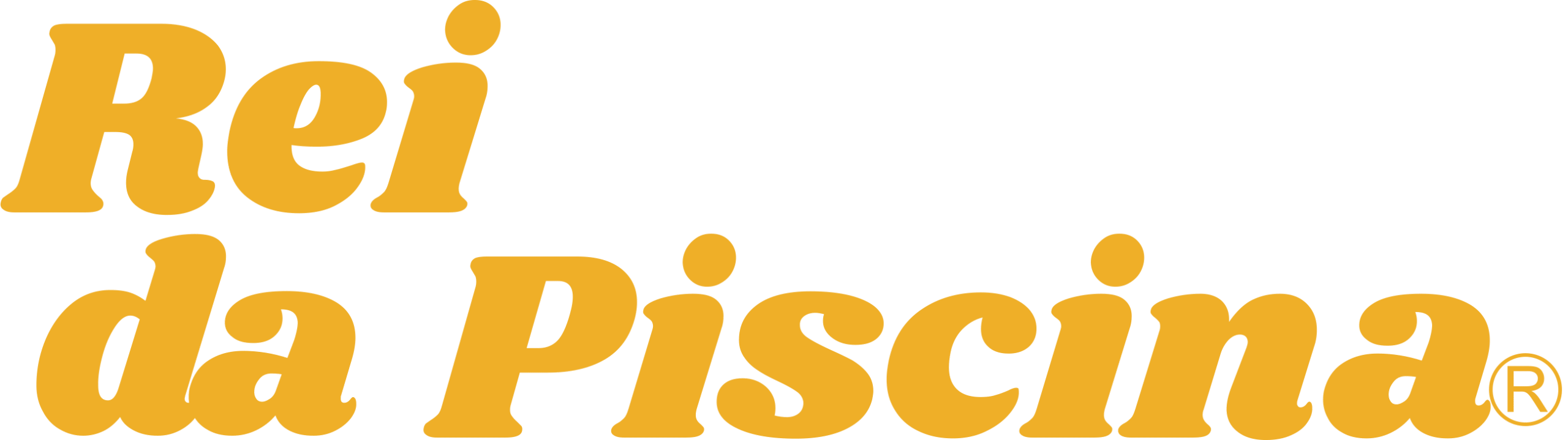 Rei da piscina
